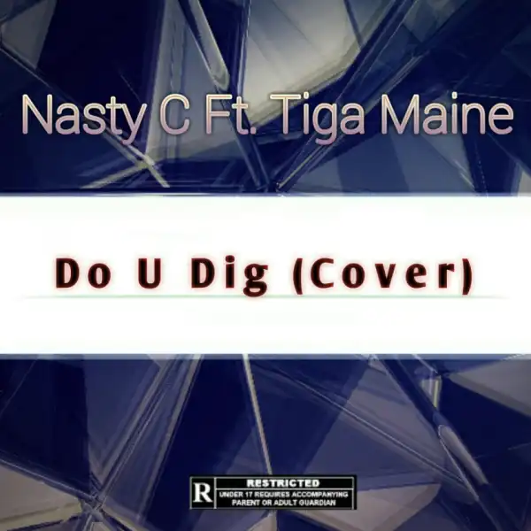 Nasty C - Do U Dig (Remix) ft Tiga Maine